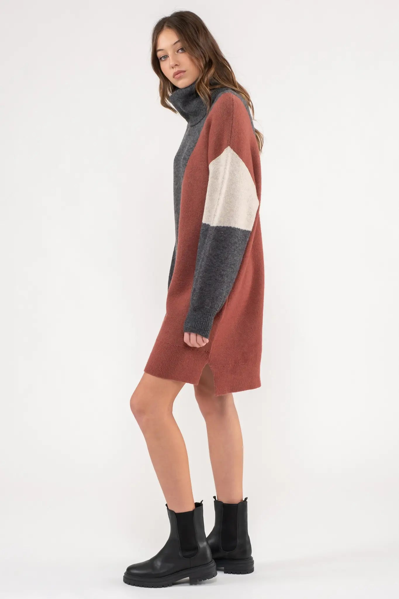 Eileen Turtleneck Sweater Dress