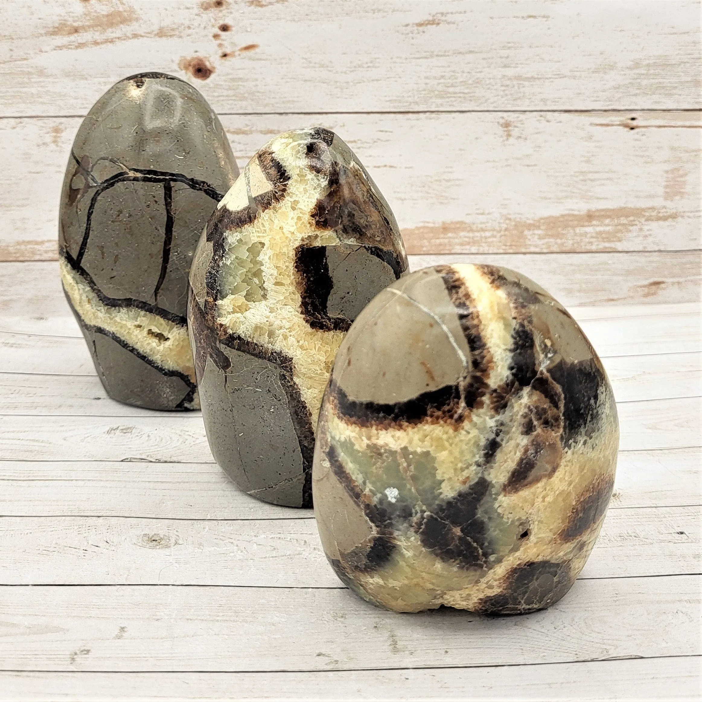 Polished Freestanding Septarian Nodule (Various Sizes)