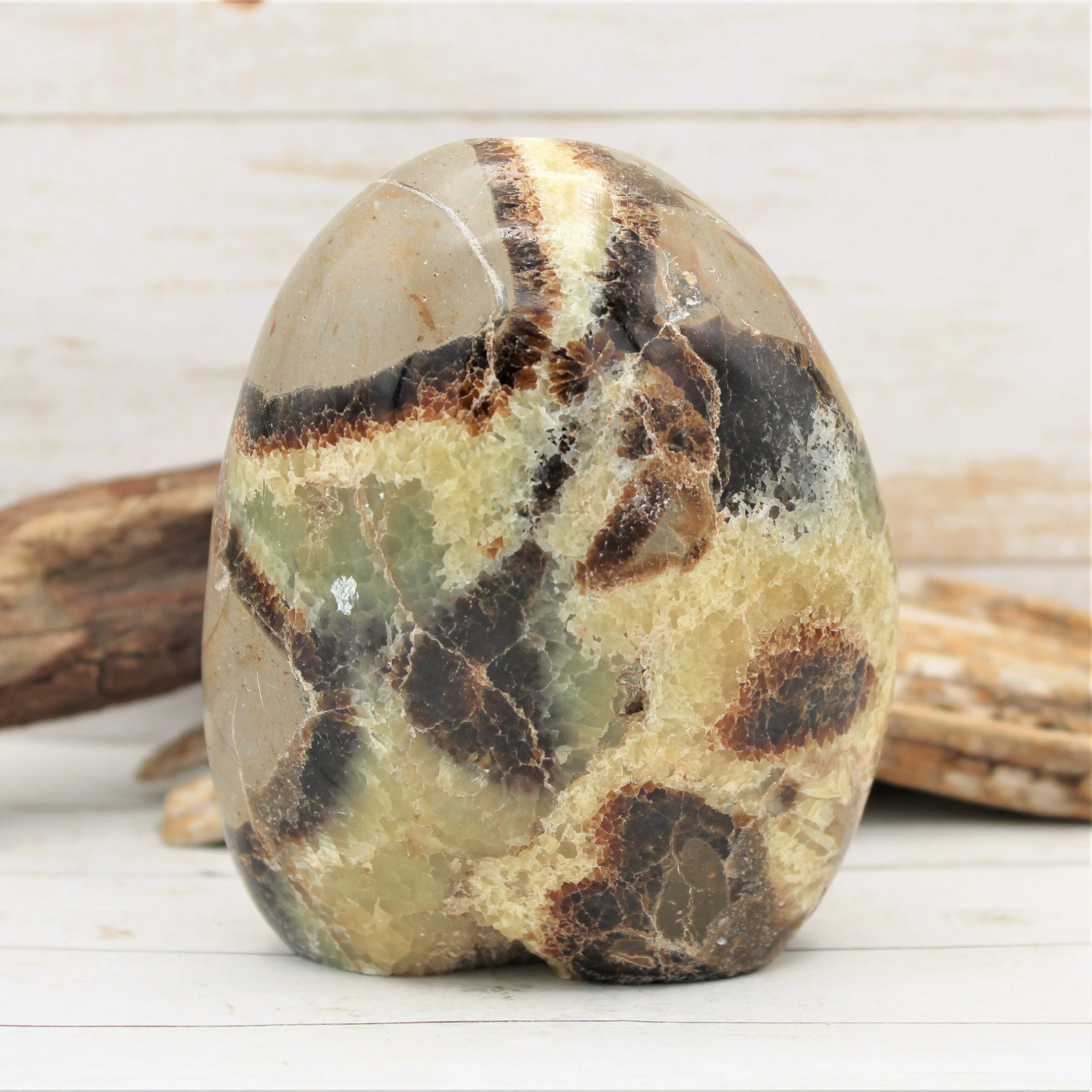 Polished Freestanding Septarian Nodule (Various Sizes)