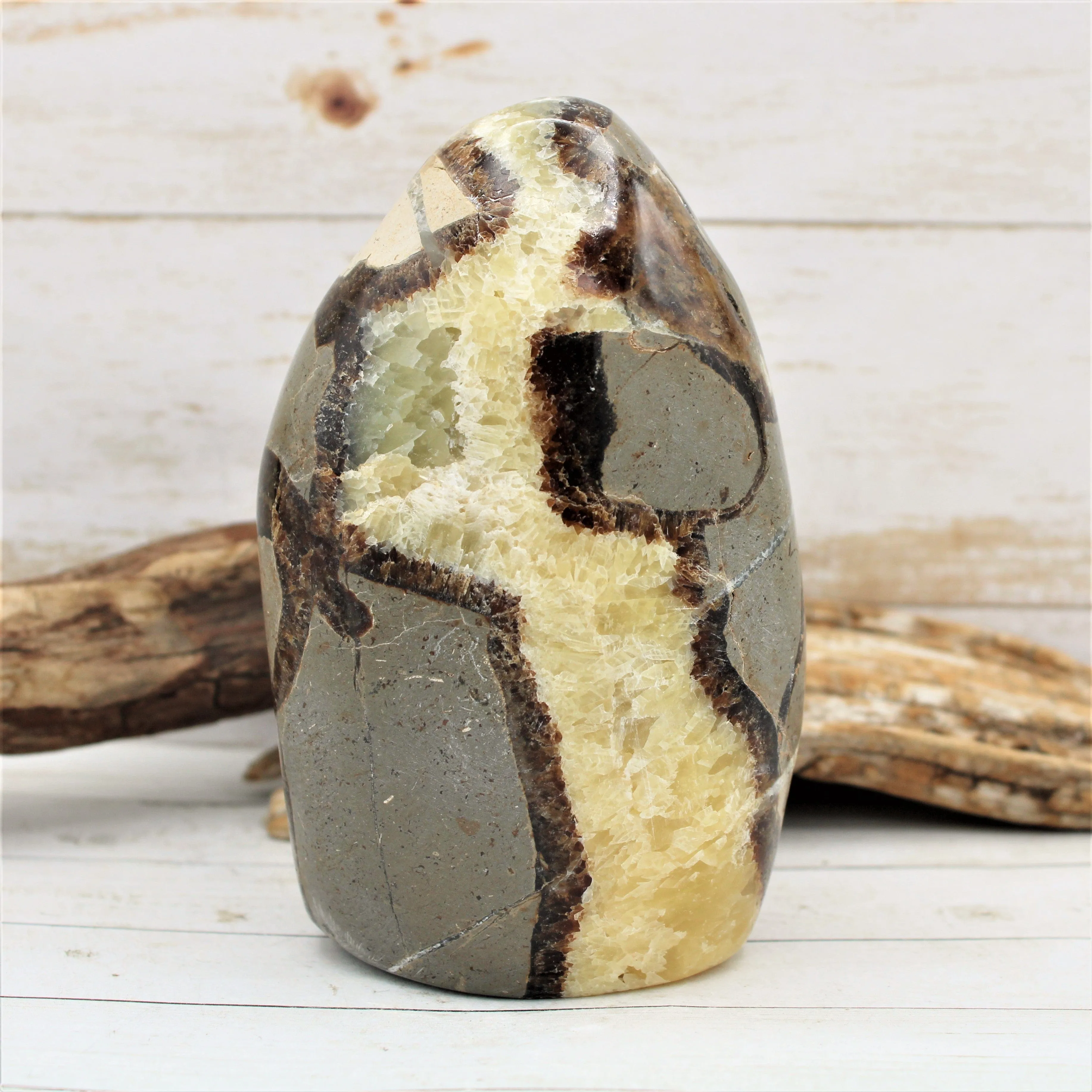 Polished Freestanding Septarian Nodule (Various Sizes)